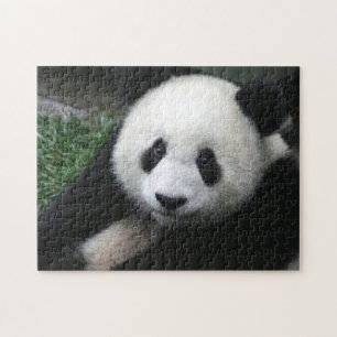 Puzzle Ours panda de sourire