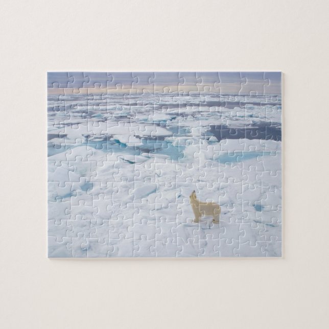 Puzzle Ours polaire (Horizontal)