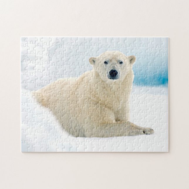 Puzzle Ours polaire adulte grand sanglier sur la glace es (Horizontal)