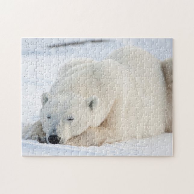 Puzzle Ours polaire en hiver (Horizontal)