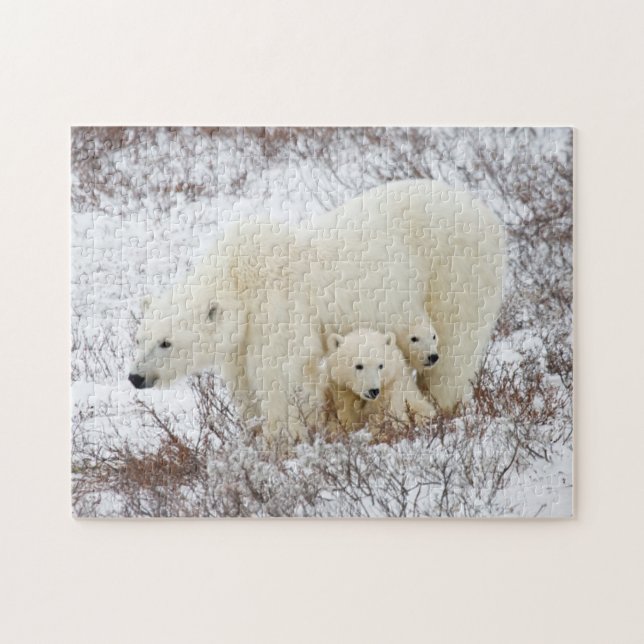 Puzzle Ours polaire femelle et deux petits (Horizontal)