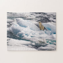 Ours polaire sur Iceberg bleu dans l'Arctique Sval