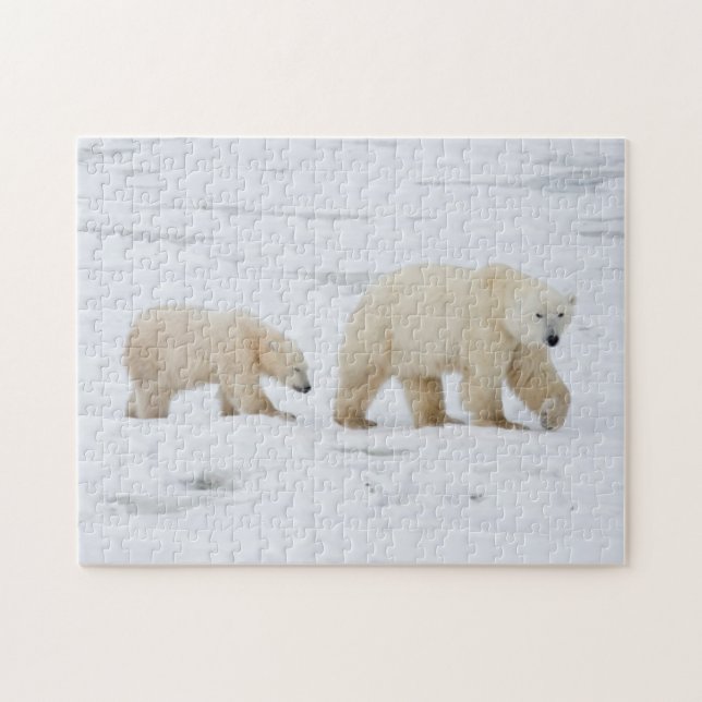 Puzzle Ours polaires femelle et deux oursons (Horizontal)