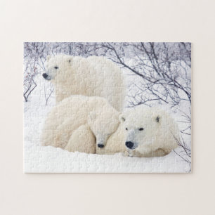 Puzzle Ours polaires femelle et deux oursons 3