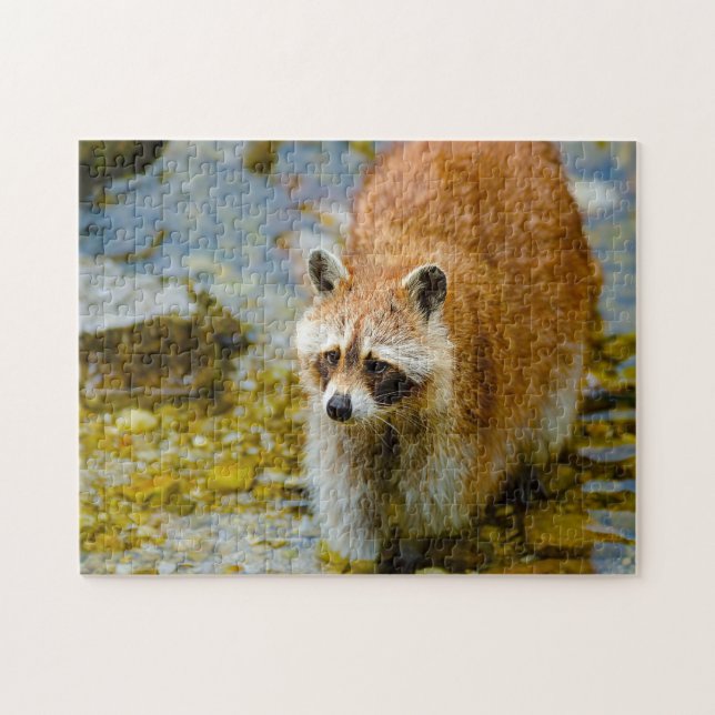 Puzzle Ours ratons laveurs. (Horizontal)