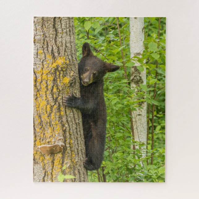 Puzzle Ourson noir | Minnesota (Vertical)