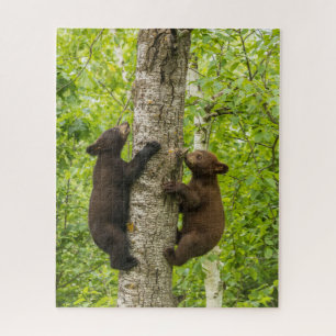 Puzzle Oursons de l'ours noir grimpant à l'arbre
