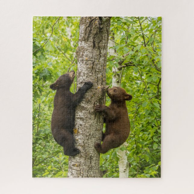 Puzzle Oursons ours noir grimpant un arbre (Vertical)