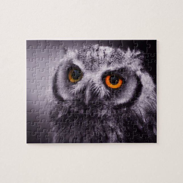 Puzzle Owl (Horizontal)
