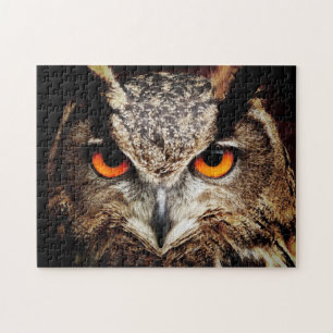 Puzzle Owl 3