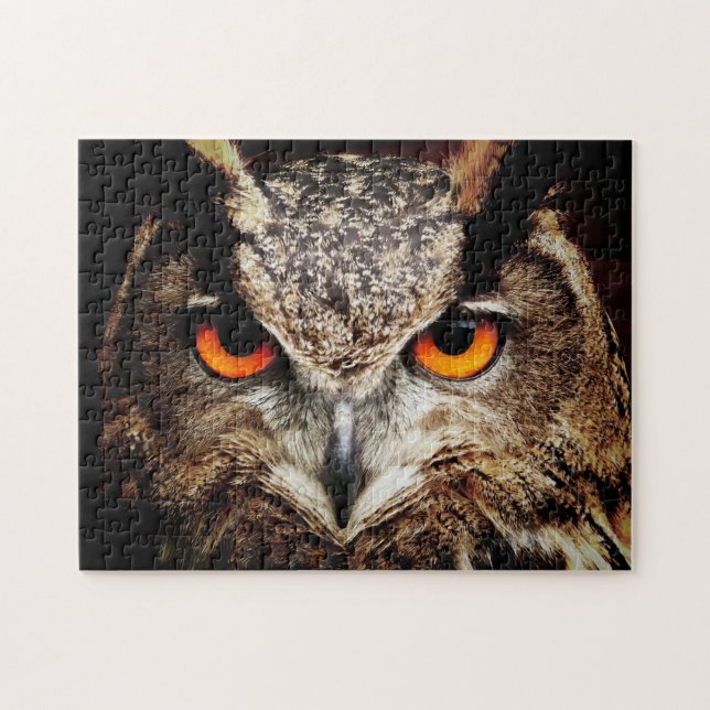 Puzzle Owl 3 (Horizontal)