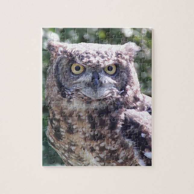 Puzzle Owl vous regarde ! (Vertical)
