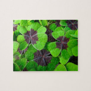 Puzzle Oxalis Feuille - Rouge et vert