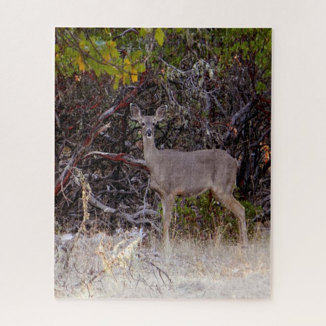Puzzle Pacifiquement... (Vertical)