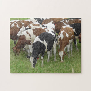 Puzzle Pack de vaches mangeant de l'herbe dans les champs