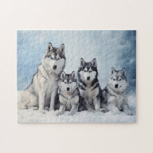 Puzzle Pack Sibérien Husky