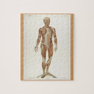 Puzzle Pages de livres d'anatomie vintage