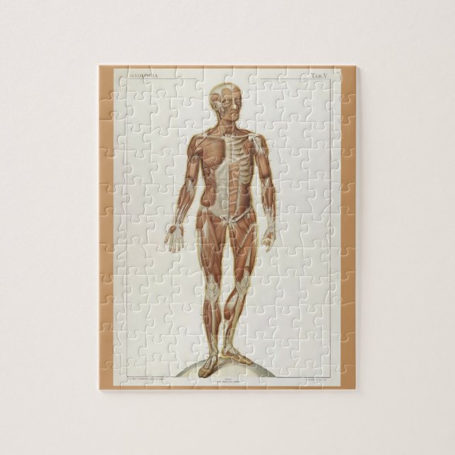 Puzzle Pages d'un livre d'anatomie vintage (Vertical)