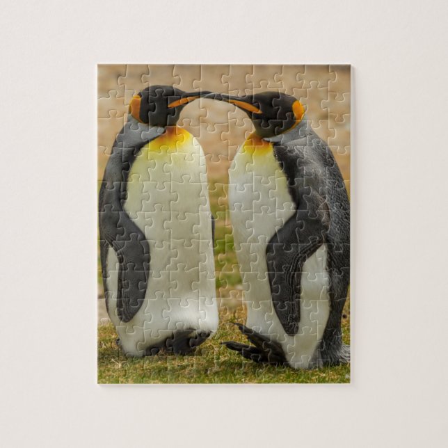 Puzzle Pair of King Penguins (Vertical)