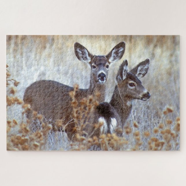 Puzzle Paire de cerfs de Mule sauvage | Californie (Horizontal)
