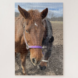 Puzzle Paire de cheval