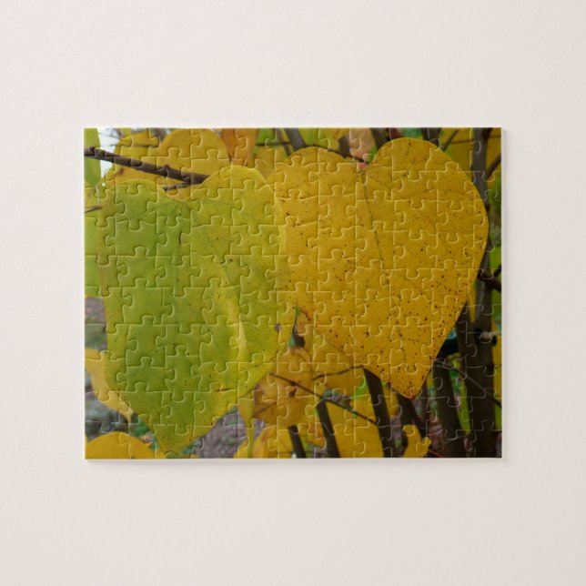 Puzzle Paire de Feuille Redbud Automne  photo d'automne (Horizontal)