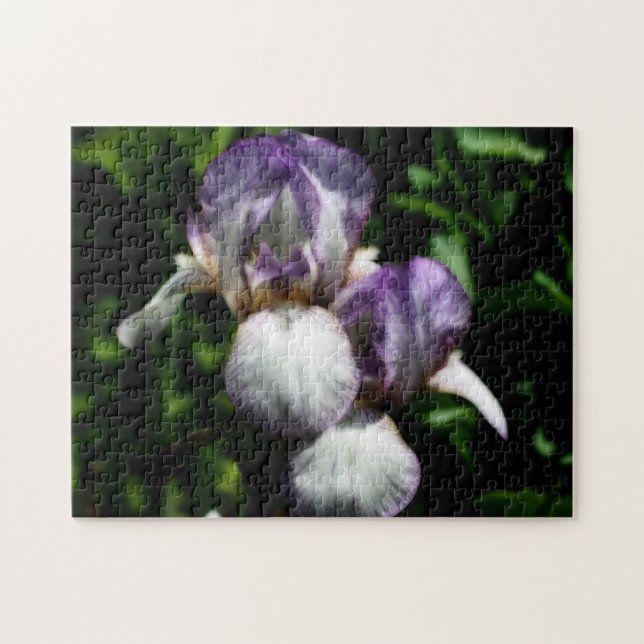 Puzzle Paire De Fleur Iris À Peau Violet Et Blanc (Horizontal)