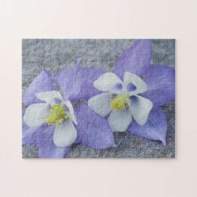 Puzzle Paire de fleurs Columbine (Horizontal)
