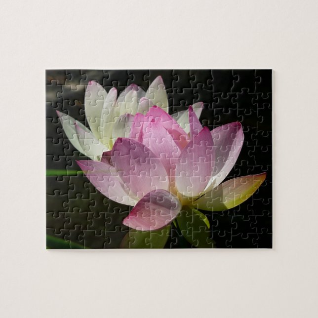 Puzzle Paire de fleurs de Lotus II (Horizontal)
