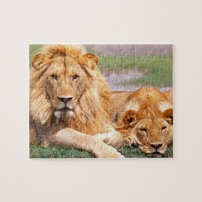 Puzzle Paire de lions africains, Panthera leo, Tanzanie (Horizontal)