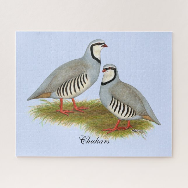 Puzzle Paire de perdrix de Chukar (Horizontal)
