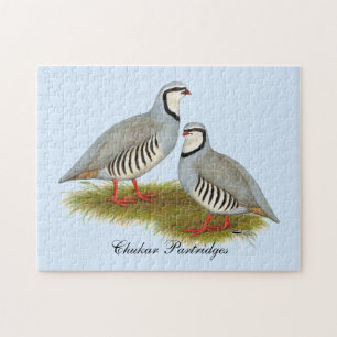 Puzzle Paire de perdrix de Chukar