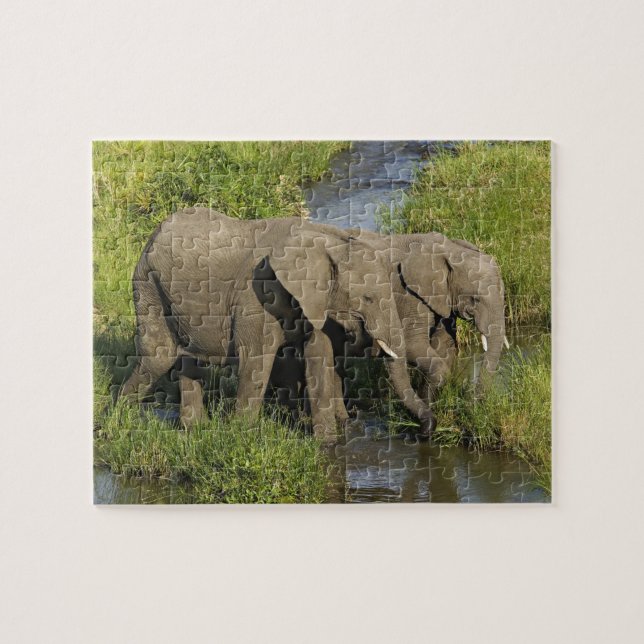 Puzzle Paire d'éléphants d'Afrique Masai Mara (Horizontal)