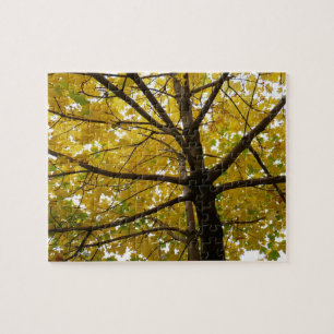 Puzzle Paire d'érables jaunes Automne Nature