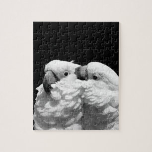 Puzzle Paires de cacatoès de parapluie