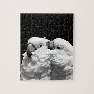 Puzzle Paires de cacatoès de parapluie