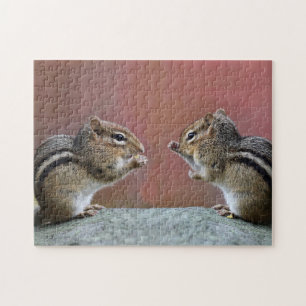 Puzzle Paires de tamia