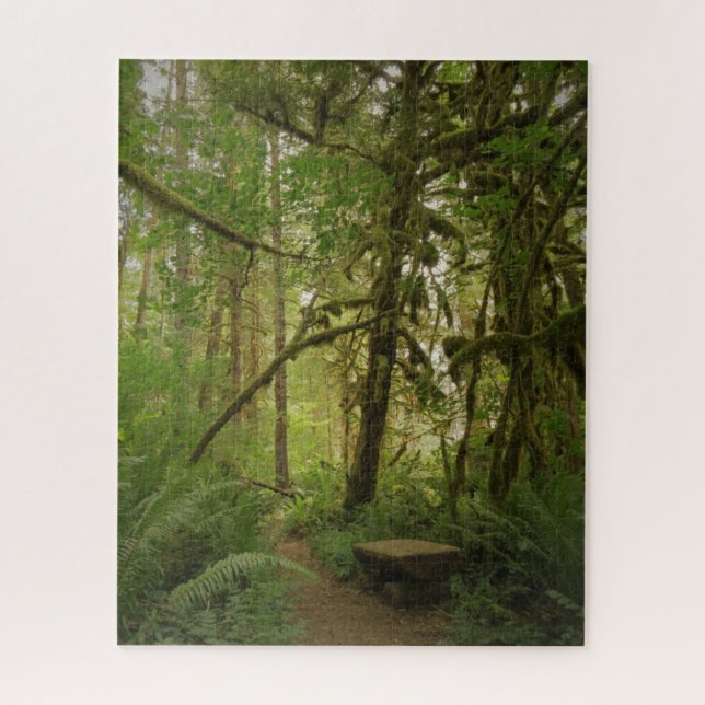 Puzzle Paisible Green Forest Trail Washington (Vertical)