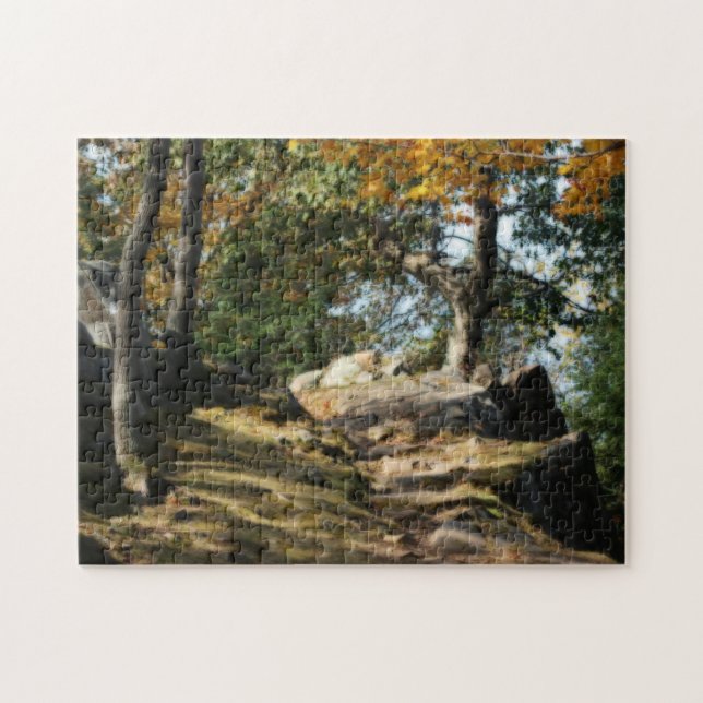 Puzzle Paisible sentier forestier Nature Effet Orton (Horizontal)