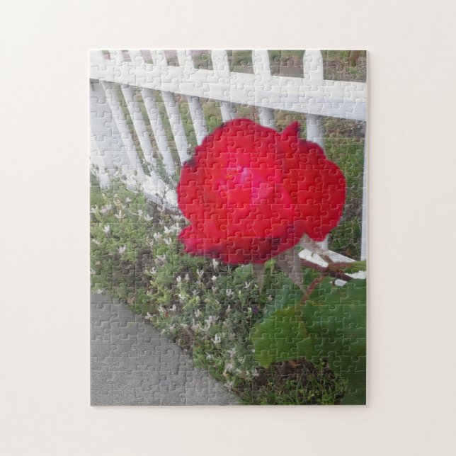 Puzzle Palissandre blanche et une magnifique rose rouge (Vertical)