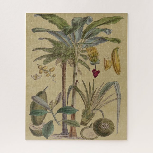 Puzzle Palm Antique Fruit Tropical Art Botanique (Vertical)