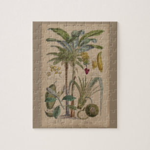 Puzzle Palm Antique Fruit Tropical Art Botanique