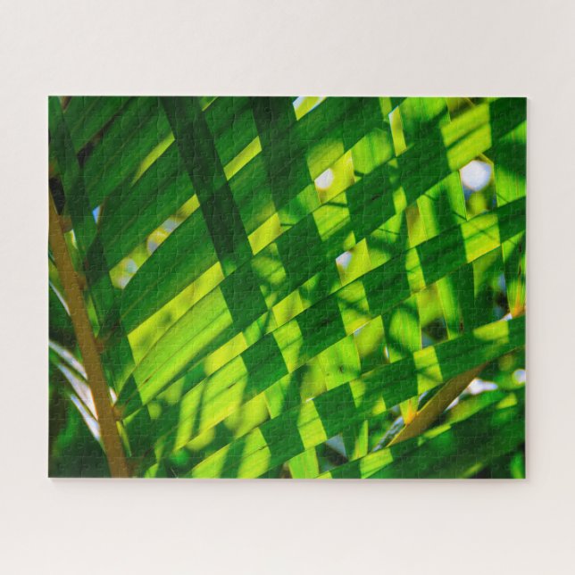 Puzzle Palm Feuilles Plaid, Kapaa, Kauai, Hawaii (Horizontal)