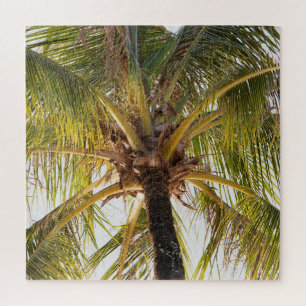 Puzzle Palm Tree