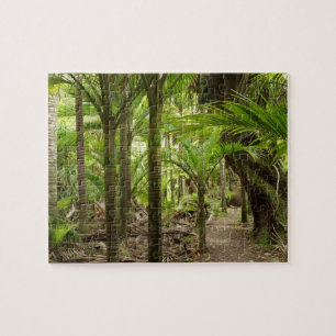 Puzzle Palmiers Nikau, Heaphy Track, près de Karamea,