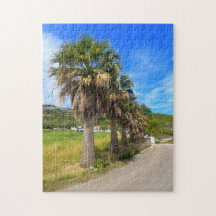 Palmiers Zakynthos Grèce