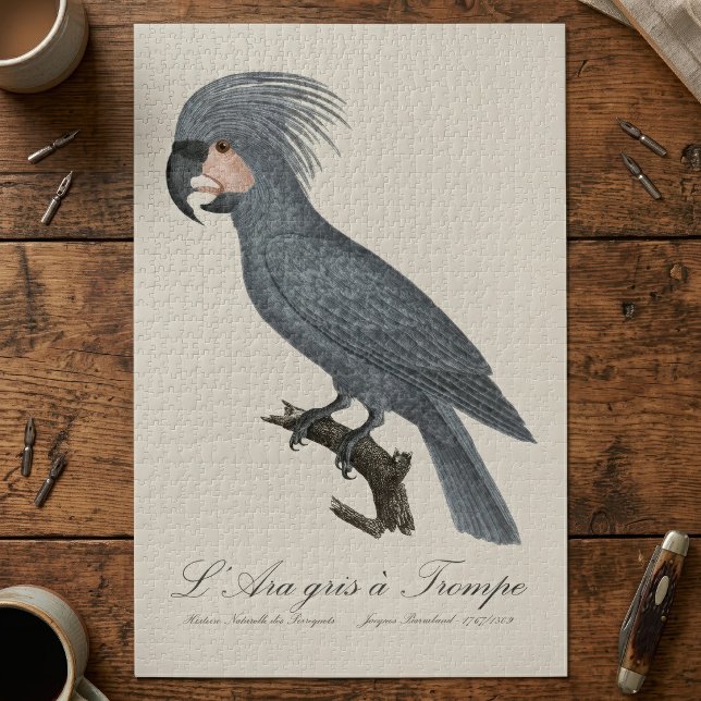 Puzzle Palmiste noir, Probosciger aterrimus (Great Black Palm Cockatoo, Probosciger aterrimus. Jigsaw Puzzle)