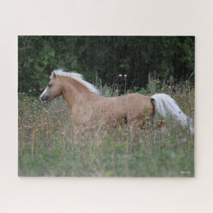 Puzzle Palomino Gallois Pony Courant Dans L'Herbe Longue