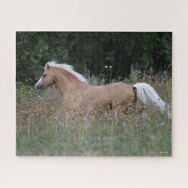 Puzzle Palomino Gallois Pony Courant En Longue Herbe (Horizontal)
