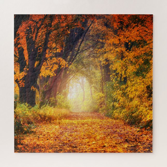 Puzzle Panache solaire de la forêt automnale 20" x 20" (Horizontal)